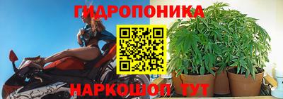 СК Северобайкальск