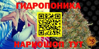 дурь Севастополь