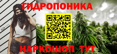 СК Северобайкальск
