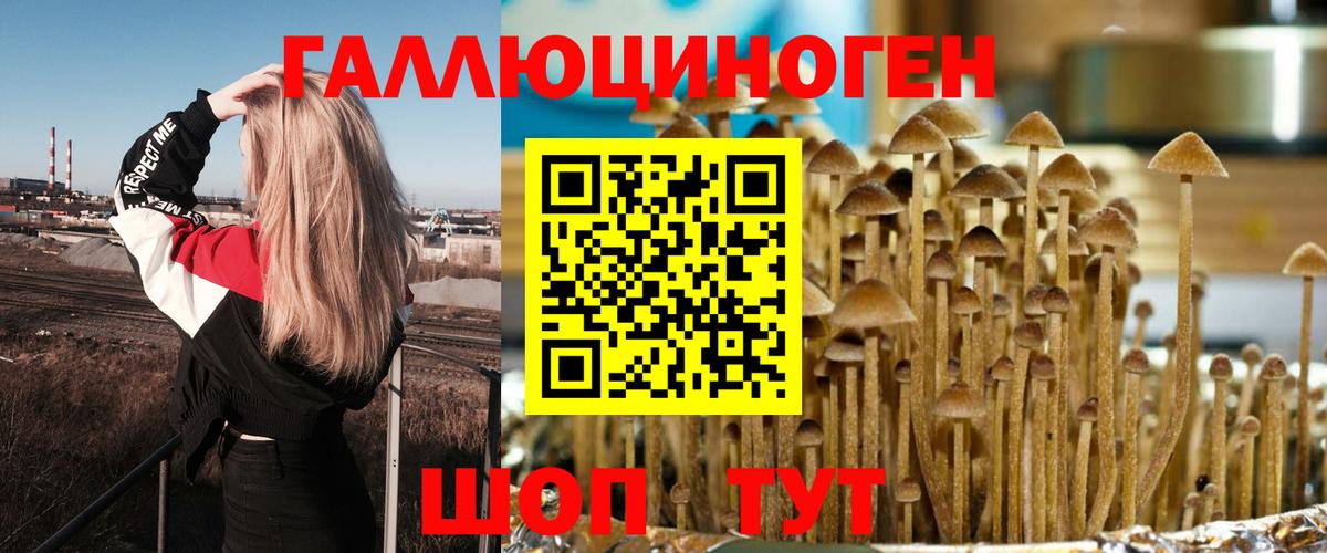 Галлюциногенные грибы Magic Shrooms Новозыбков