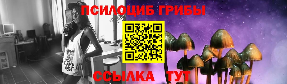 Галлюциногенные грибы Psilocybine cubensis  Вход с VPN  Новозыбков 